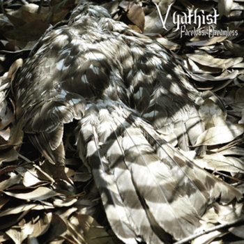 Faceless, Dreamless cover art