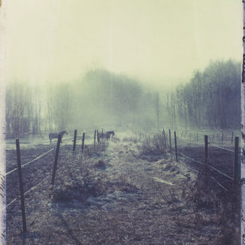 Åh Skjellet, mitt älghjärta. cover art