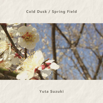 Cold Dusk / Spring Field cover art