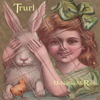 Do Not See Me Rabbit cover art