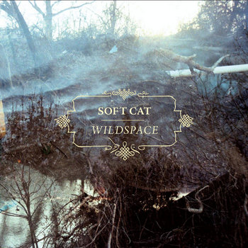 Wildspace cover art