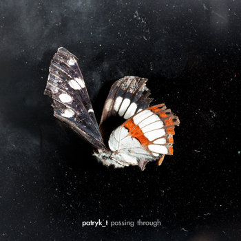 passing through cover art