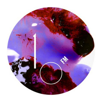 10 (A Decade of Feral Media) cover art