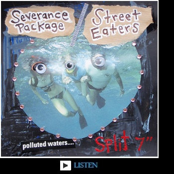 Polluted Waters split 7" cover art