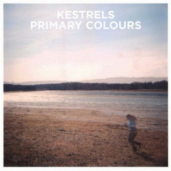 Primary Colours cover art
