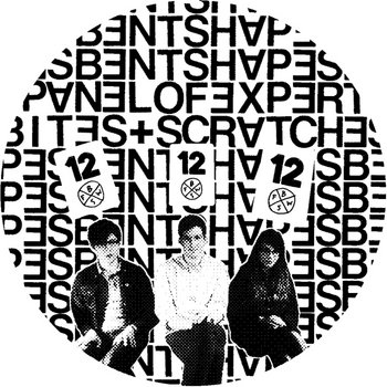 Panel of Experts cover art