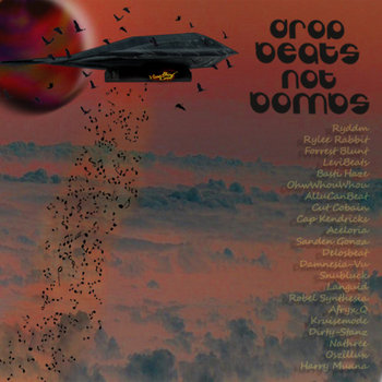Drop Beats Not Bombs cover art
