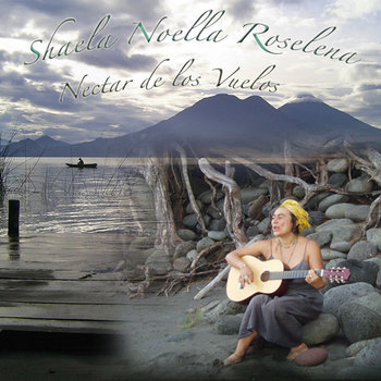 Nectar de los Vuelos cover art