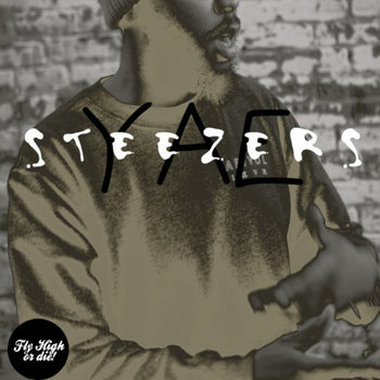 Steezers cover art