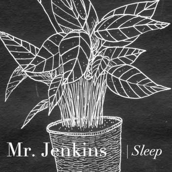Sleep cover art