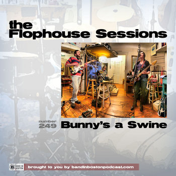 #249: Bunny's a Swine cover art