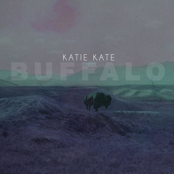 Buffalo cover art