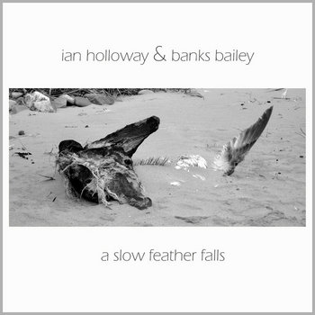 A Slow Feather Falls cover art