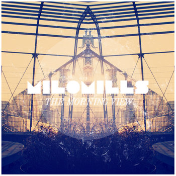 THE MORNING VIEW cover art
