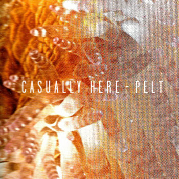 PELT cover art