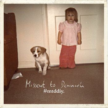 #mtddiy. cover art