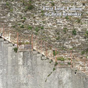 First Leaf, Falling cover art