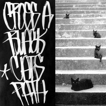 Cross A Black Cat's Path cover art