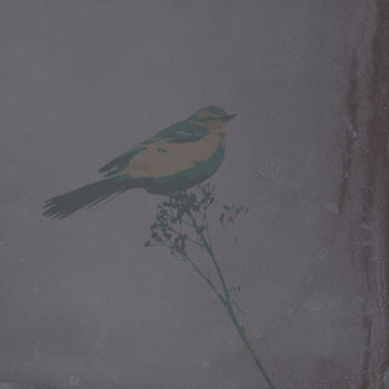 Time Lapse cover art