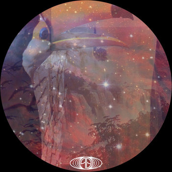 (((QS/VS5))) cover art