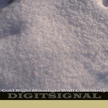 Cold Night Moonlight Wolf Cubs Stray cover art