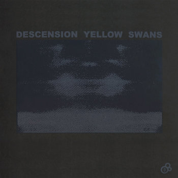 Descension Yellow Swans cover art