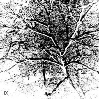 IX cover art