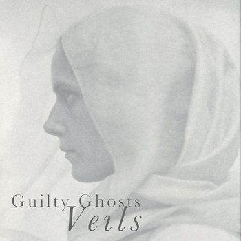 VEILS cover art