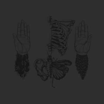 Columns of Subsidence cover art