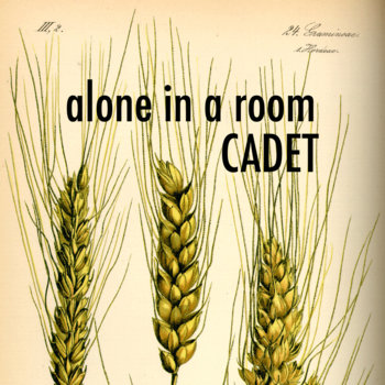 Alone in a Room cover art