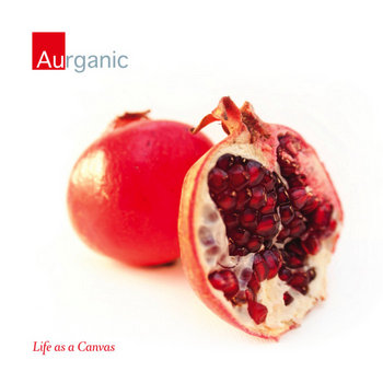 Life As a Canvas cover art