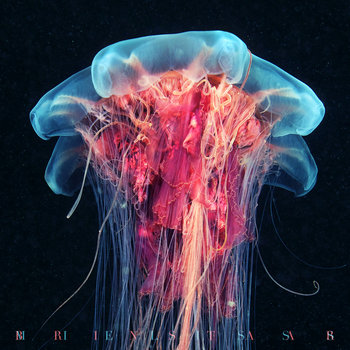 Mielisss cover art