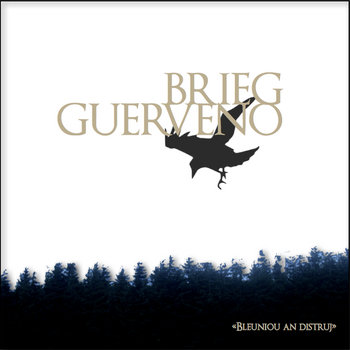 bleuniou an distruj cover art