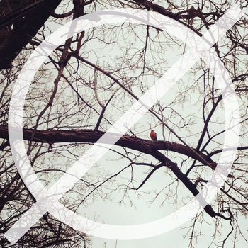 Null Set cover art