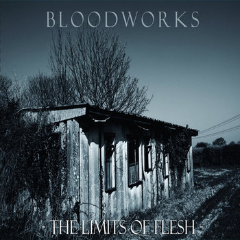 The Limits Of Flesh cover art