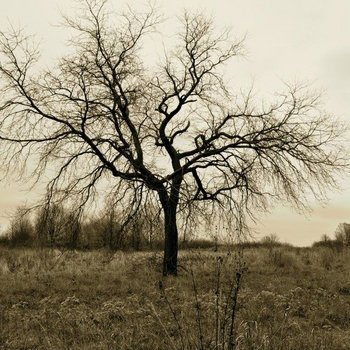 Emily's Song (Demo) cover art