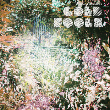 Gold Fools cover art