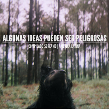Algunas ideas pueden ser peligrosas - Compilado screamo America Latina. cover art