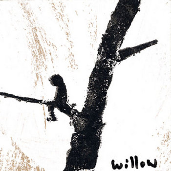Willow cover art