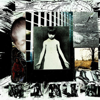 Mania/Custodian Split Lp cover art