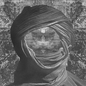 The flâneur cover art