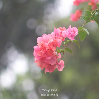 살랑 사랑 cover art