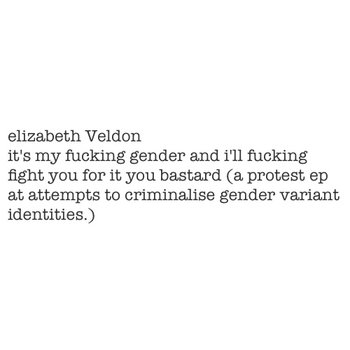 it's my fucking gender and i'll fucking fight you for it you bastard (a protest ep at attempts to criminalise gender variant identities.) cover art