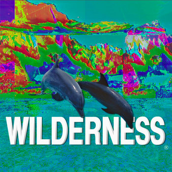 WILDERNESS (2012) cover art