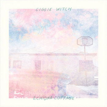 Echidna Cottage cover art