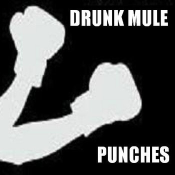 Punches cover art