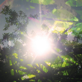 The Din of Light cover art