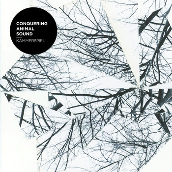 Kammerspiel cover art