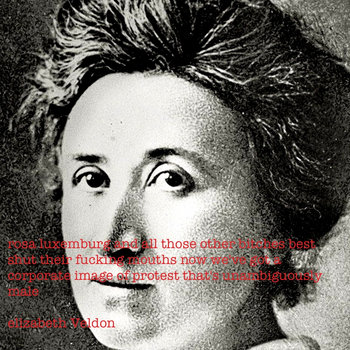 rosa luxemburg and all those other bitches best shut their fucking mouths now we've got a corporate image of protest that's unambiguously male cover art