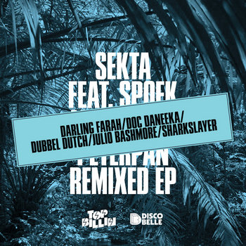 Peterpan Remixed cover art